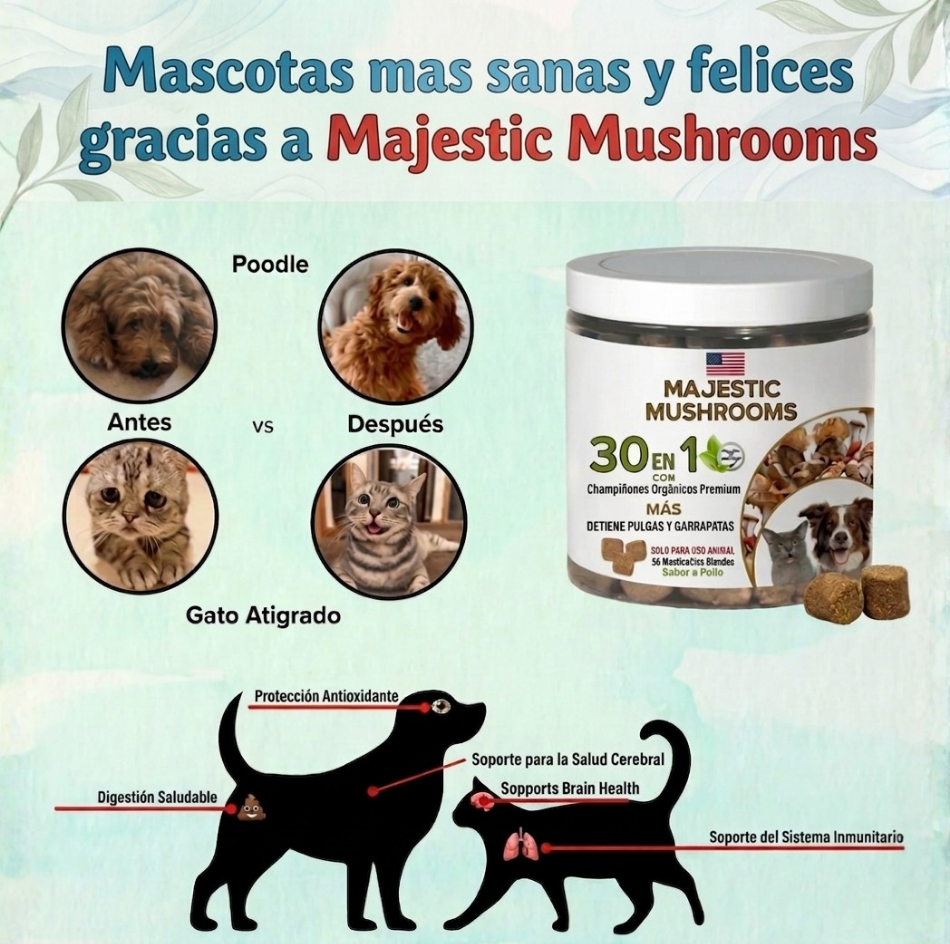 MAJESTIC MUSHROOMS™  7 HONGOS ORGANICOS CON DEFENSA NATURAL PARA PULGAS Y GARRAPATAS